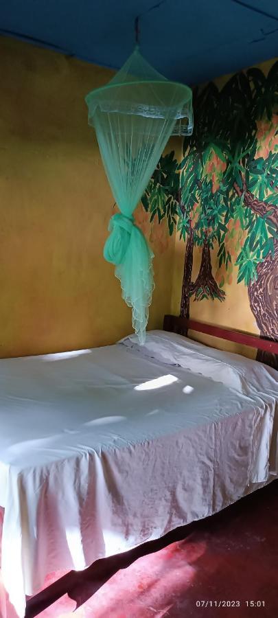 Hostel La Gloria Ometepe Eksteriør billede