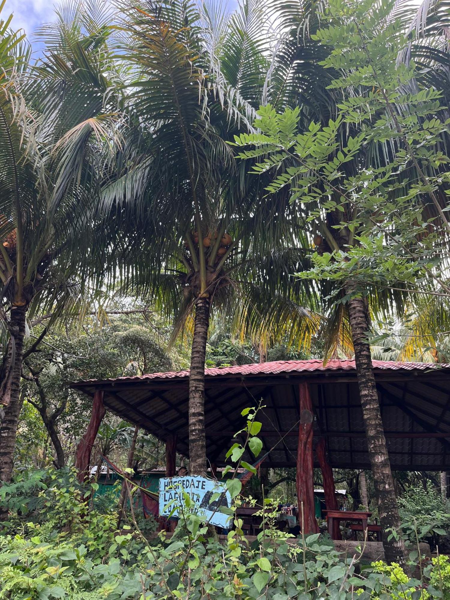 Hostel La Gloria Ometepe Eksteriør billede
