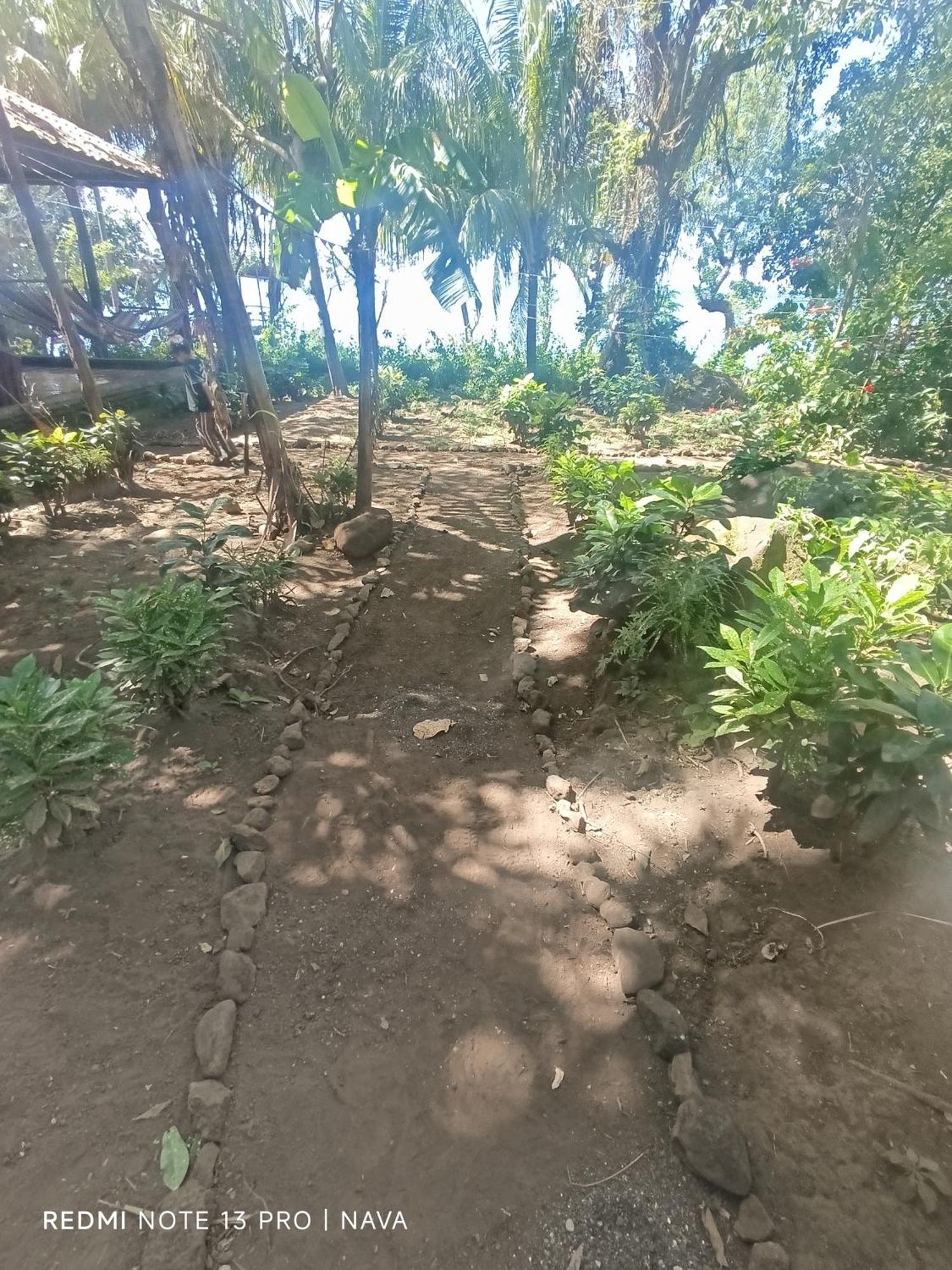 Hostel La Gloria Ometepe Eksteriør billede